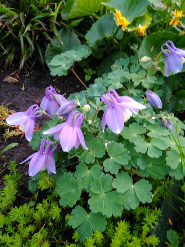 IMG_20210520_201527