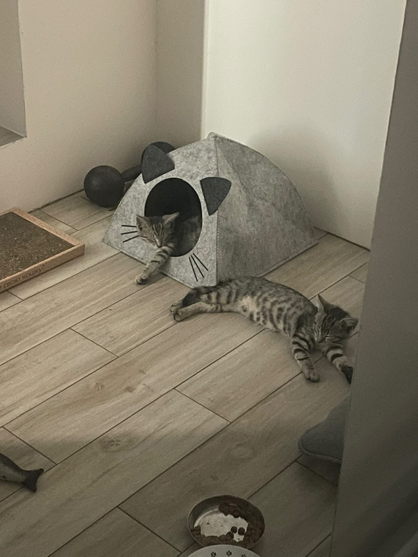 216E4C34-BD65-4A67-8670-FF07C6D04333