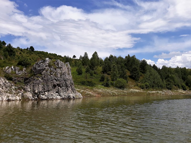 Slika