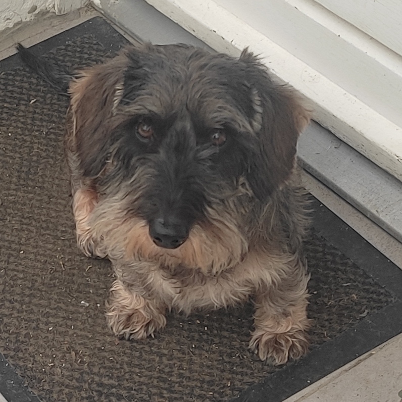 [Image: IMG-20250102-215439.jpg]