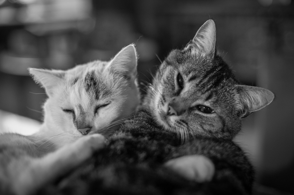 34114E89-A655-4646-B56F-B0F6641AEDE5