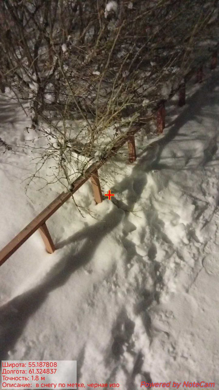photo 6 2026 03 06 05 29 45