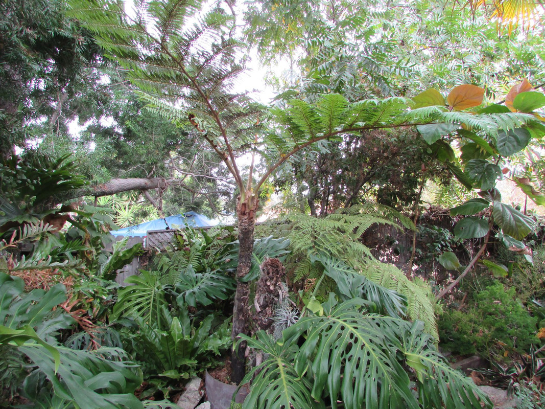IMG 5238 — Postimages