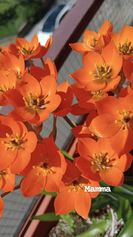 IMG_20230505_130316_183