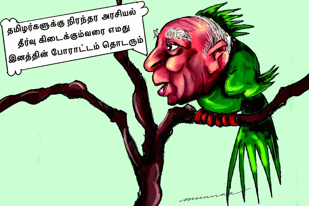 E7957035-1-C6-D-4-E02-92-B3-B47239177-CC