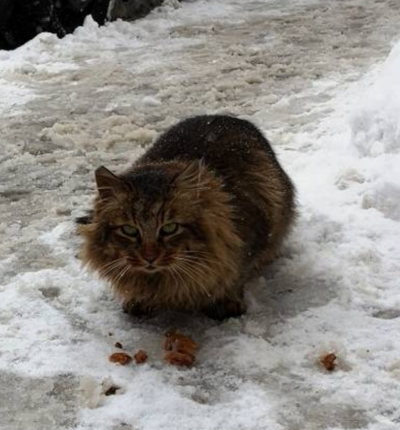 4E073014-35EE-4970-A7D5-5AC023DF381E