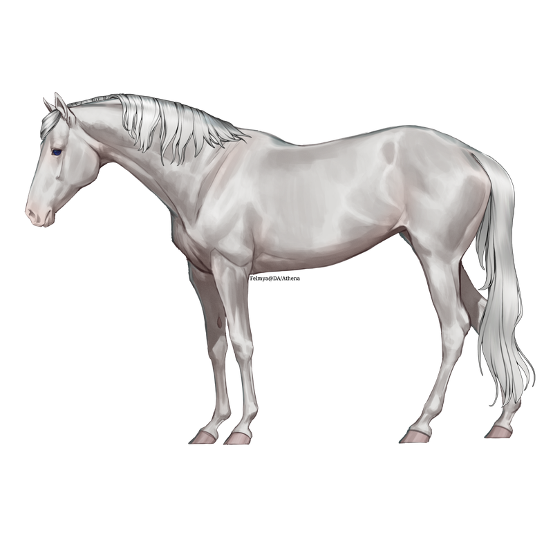 Untitled88-20250505160347.png