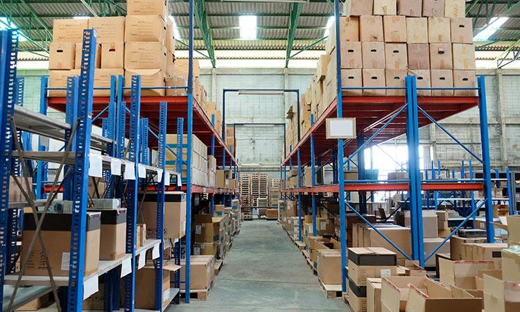 Servicios más demandados en 2019