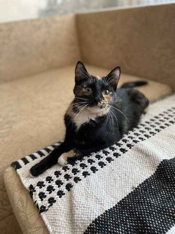 16885761-8C58-4BC1-AA28-D07C02054529