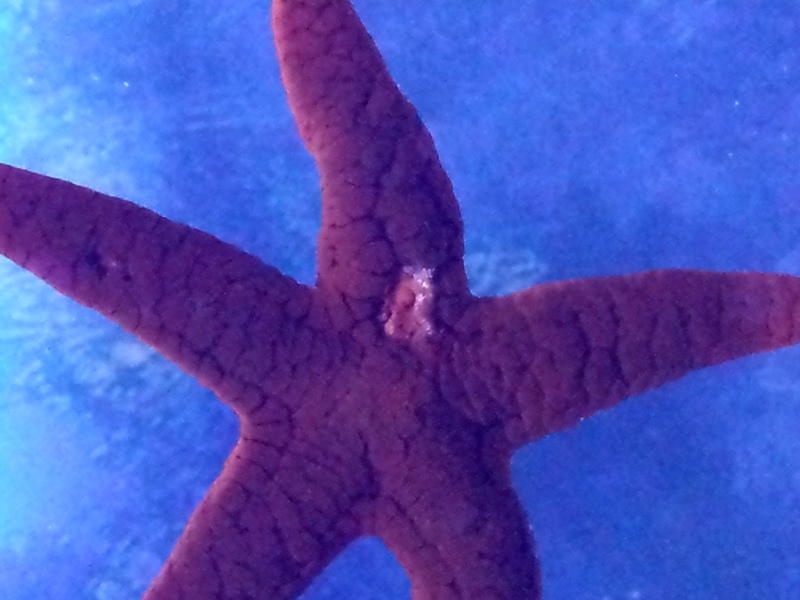 20150711_220932_Richtone(HDR)