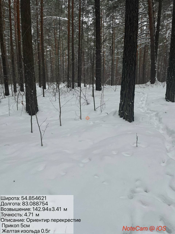 photo 2026 01 06 11 14 31