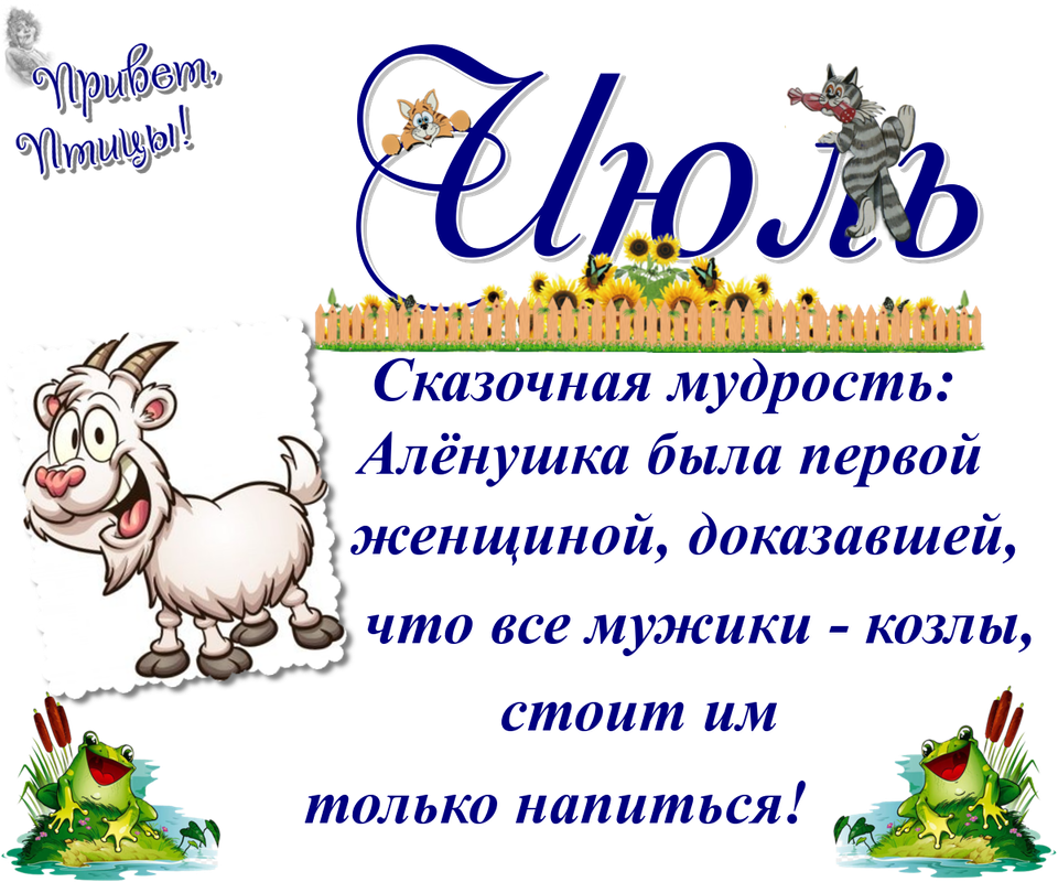 https://i.postimg.cc/d3xfcdKm/22-07.png