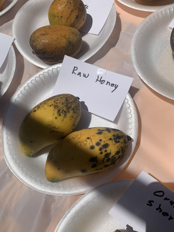 730D0389-C5CF-41C1-B43B-73853FA2F46A