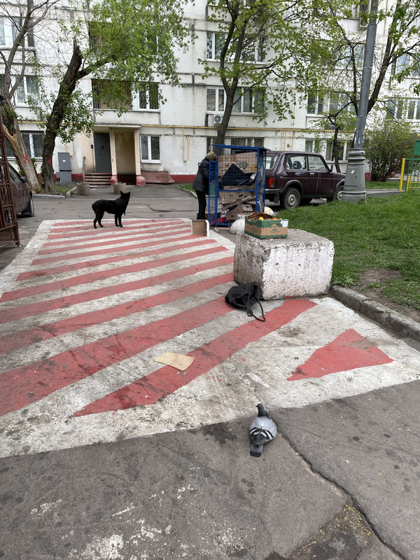 FDB6E37E-BE70-4FB1-84E1-F5948A09D58C