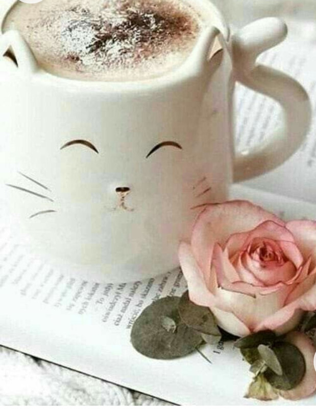 Screenshot_20230124_003123_Chrome