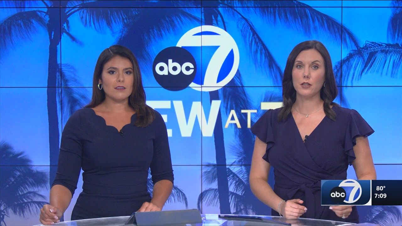 06.14 - 00.00.00 - ABC7 7O'Clock News  ᴺᵉʷ. No Description Info.ts_snapshot_12.14.151