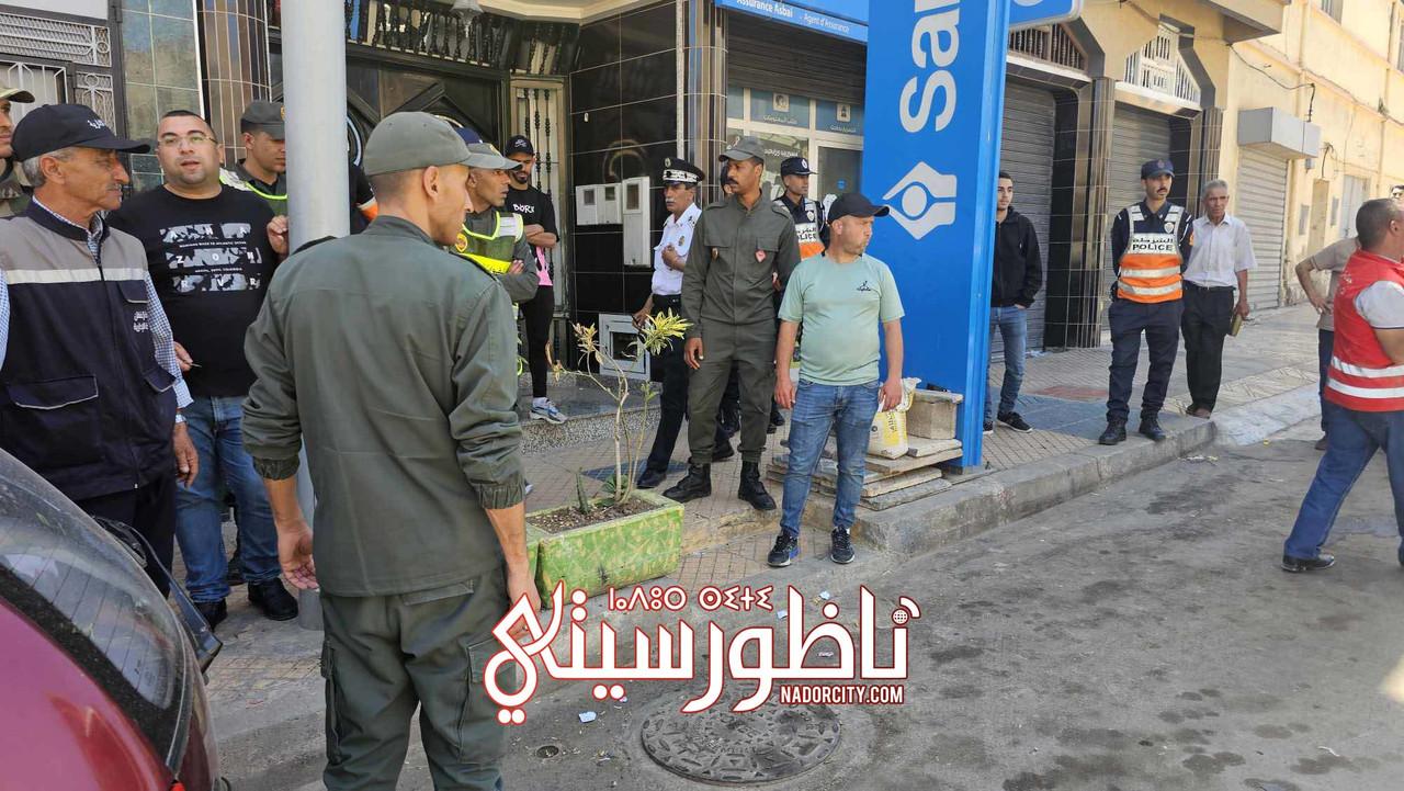 494821215-4245227102373903-5973672001825273100-n