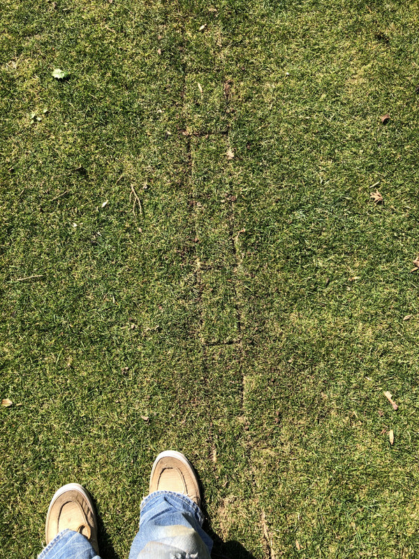 D648B8D7-D0C3-497B-8FC0-E65B24C4E68A