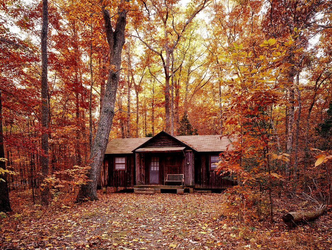 brown-autumn-1740686-1280.jpg