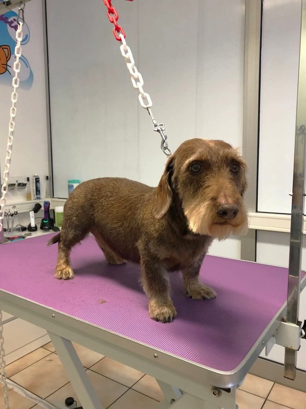 [Image: IMG-1749656351091.jpg]