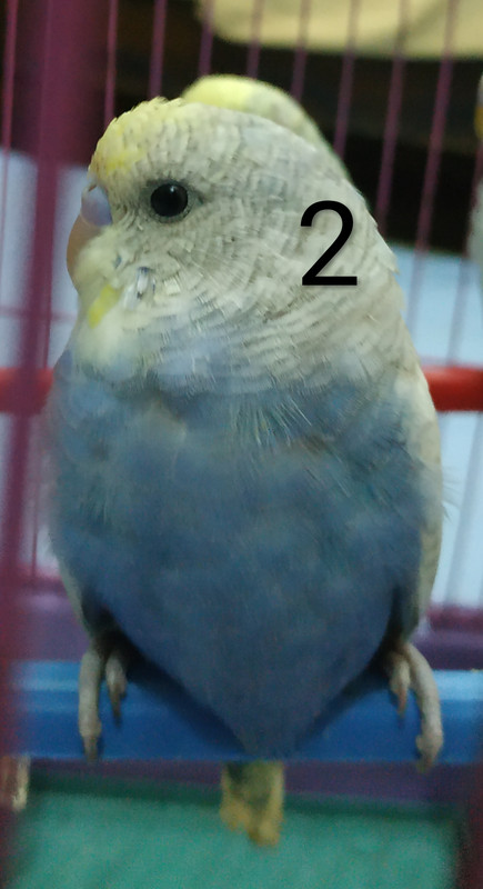 IMG_٢?١٨١??٦_١?١٥?٨