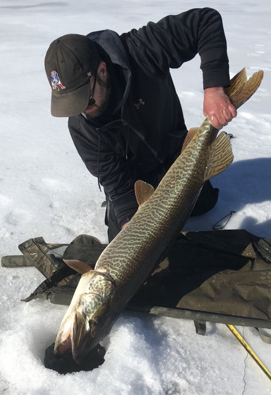 27B46FD6-254C-499C-BE67-E499AFBC677D