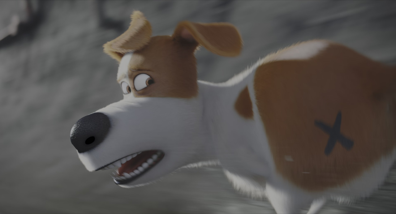 vlcsnap 2026 04 03 16h33m13s653