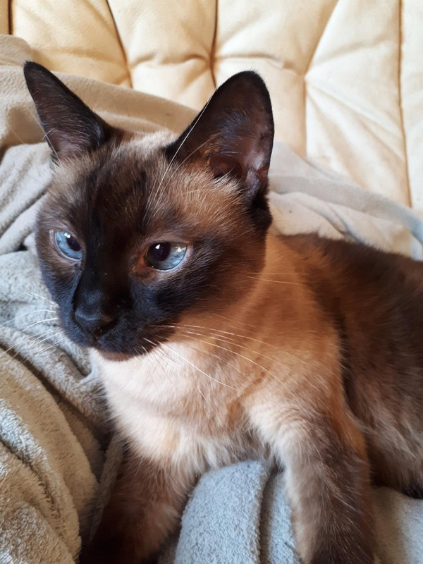 [Image: Resized-20211129-091539-8752-1.jpg]