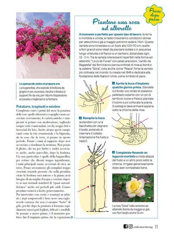 Pol Ver Mar 2024 (8)