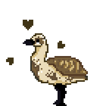 duck-done-upsize.gif
