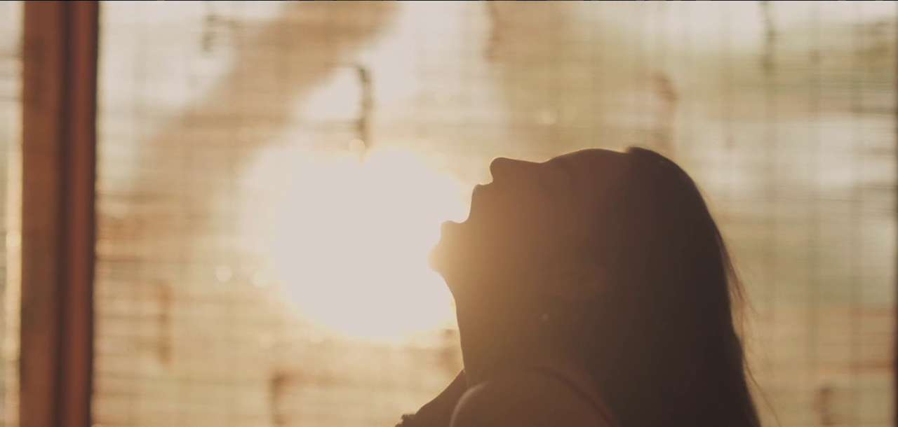 vlcsnap-2022-11-19-15h49m04s008