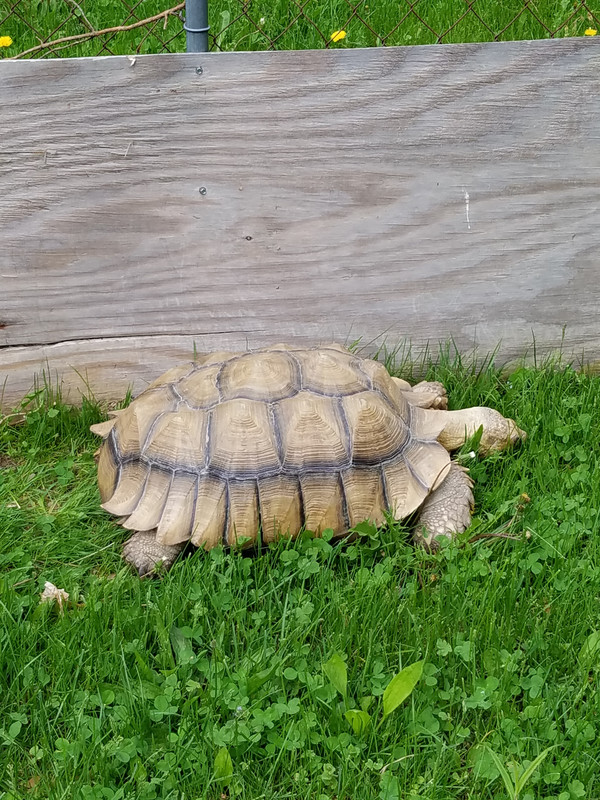 20180526_155438(0)