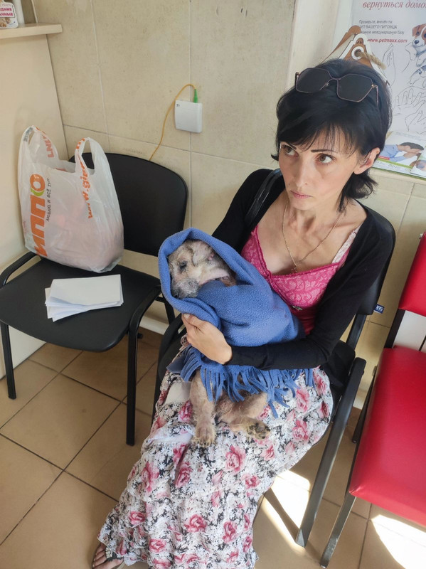 IMG-bb13397542ae247c73e8c286191b861d-V