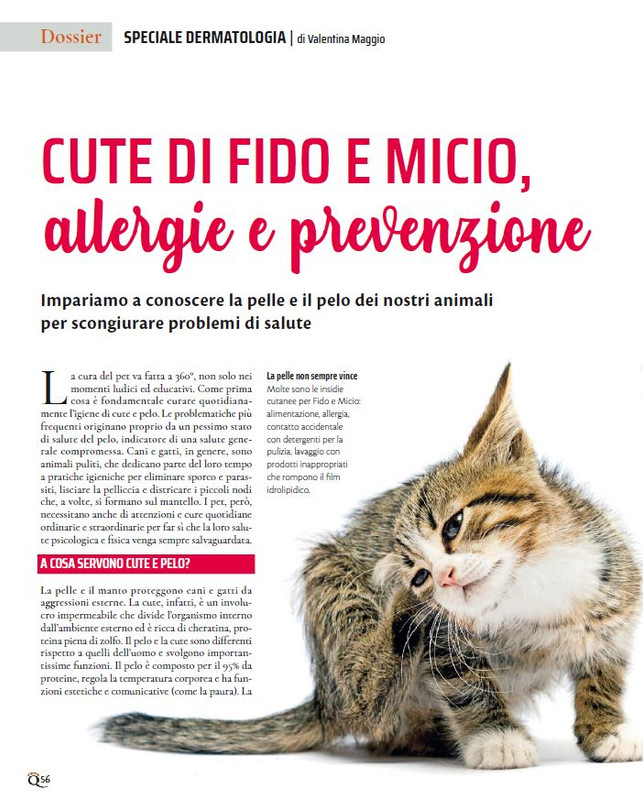 QuattroZampe Apr 2023 (9)