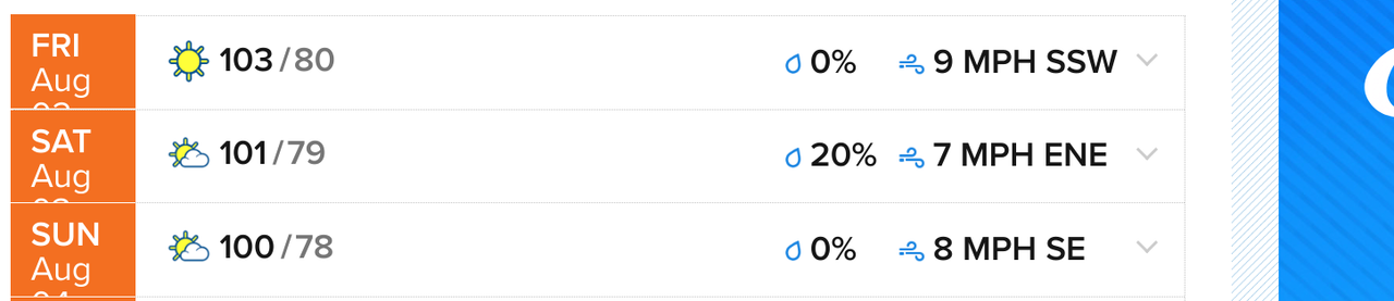 Screenshot-2024-08-02-12-57-23-PM.png