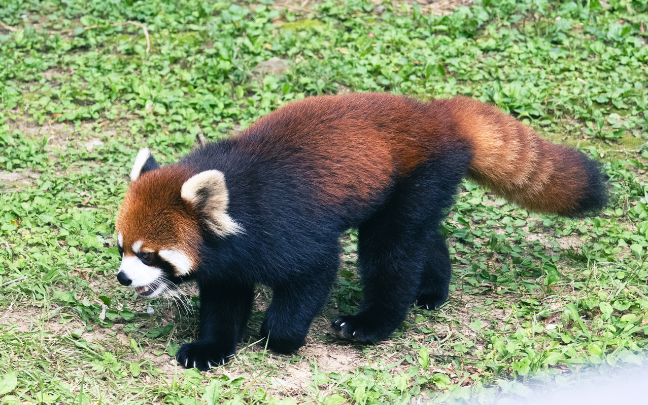 korea2024LRexport-47