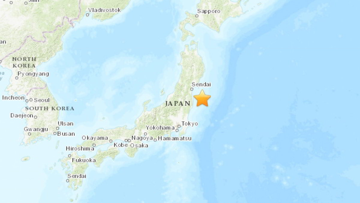 L'impatto del terremoto si è fatto sentire anche a Tokyo