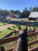 409482193_1043992653506580_491517923482110609_n