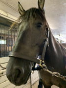 CE304FE6-3FE8-4FDF-AD0F-0A1731567517