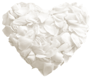 Winter-White-Elements-147