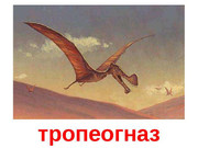 https://i.postimg.cc/d7BR2tYH/img26.jpg