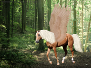 Untitled15_20240402121203