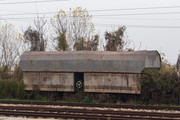 IMG-1532