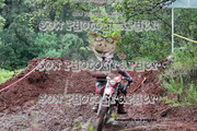 IMG-6623