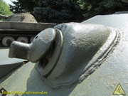 IMG-5526