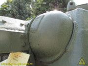IMG-5496