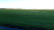 Dutch Countryside_05