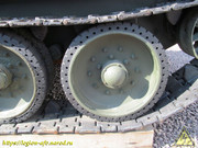 IMG-3361