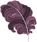 TADD-elements-Last-Dance-In-Paris-38