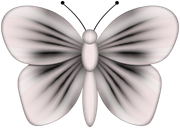 TWFlowerbee-Butterfly2